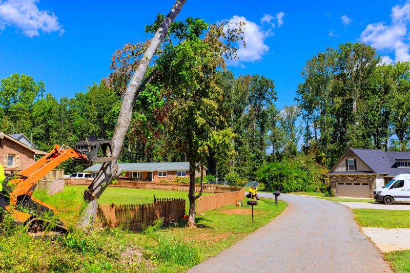 Rock and Debris Removal