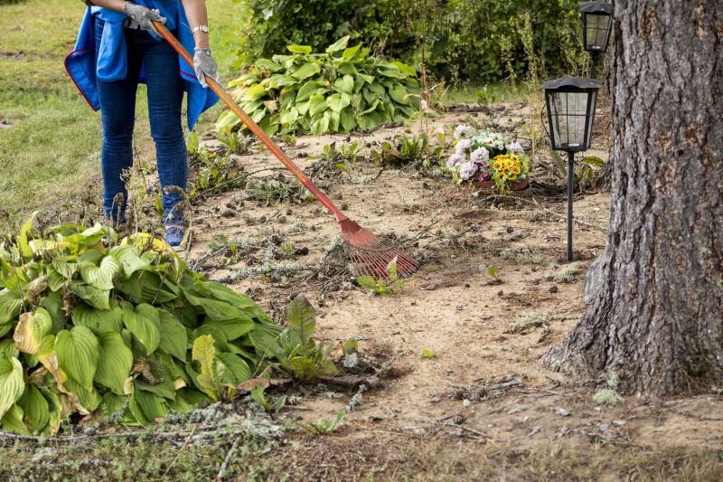 Spring Land Clearing