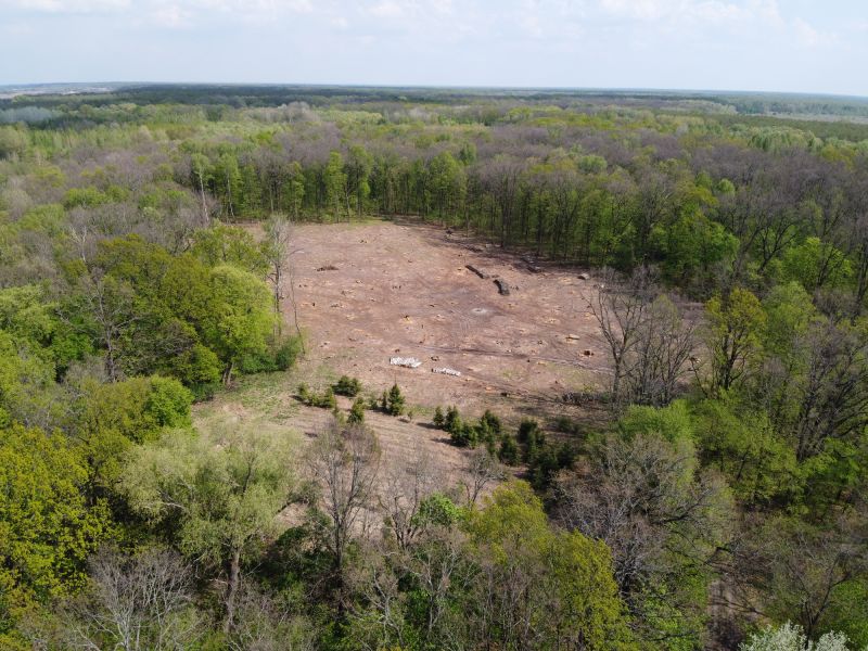 Best Time for Land Clearing in Chillicothe
