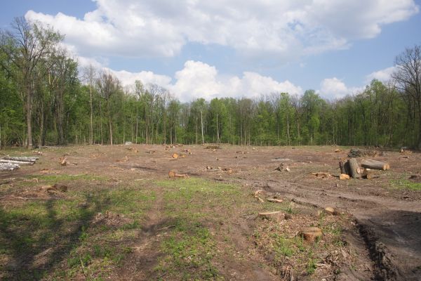 Cost of Pasture Clearing in Chillicothe