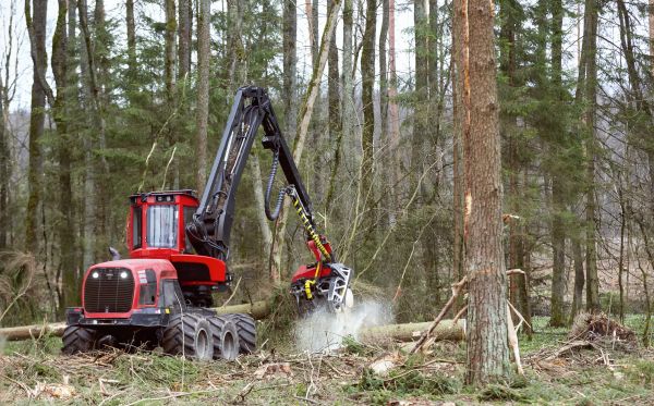 Cost of Forest Clearance Service in Chillicothe