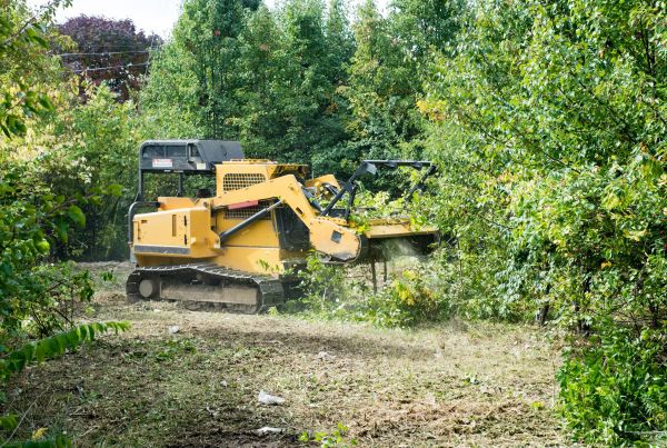 Cost of Pathway Clearing in Chillicothe
