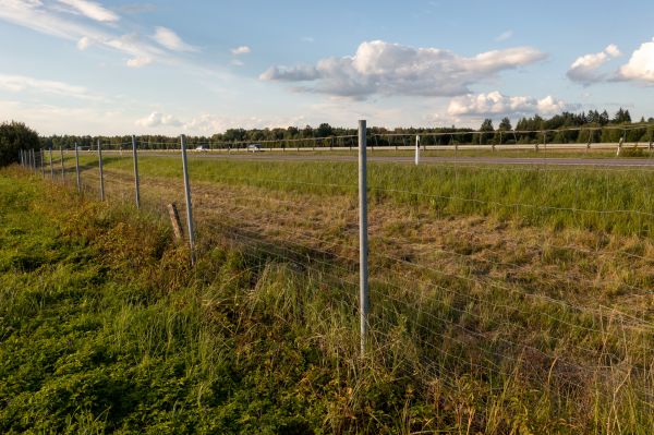 Cost of Property Line Clearing in Chillicothe