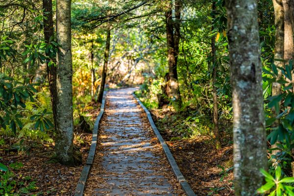 Cost of Trail Clearing in Chillicothe