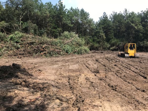 Cost of Thicket Clearing in Chillicothe