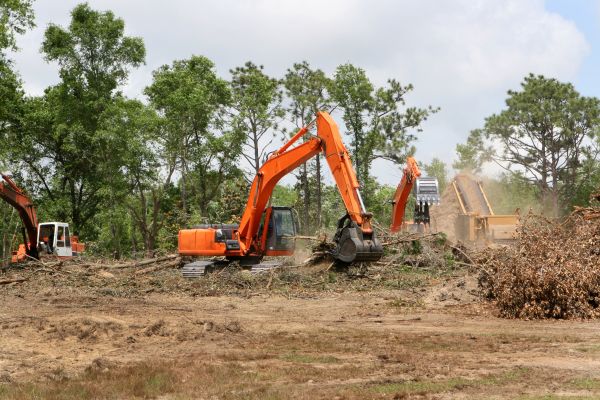 Cost of Commercial Lot Clearing in Chillicothe
